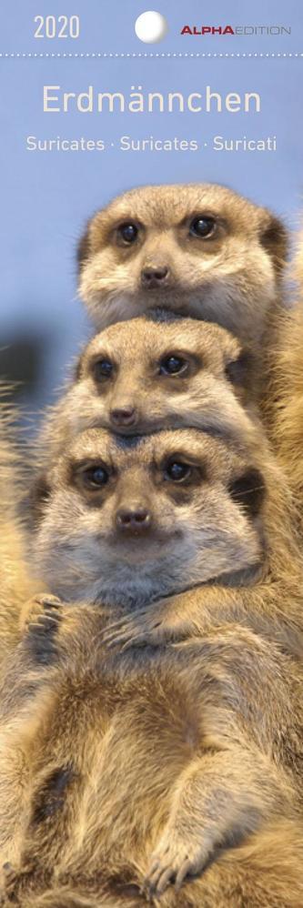 Erdmännchen 2020 - Lesezeichenkalender (5,5 x 16,5)