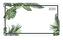 Ladytimer Pad Jungle 2020 - Taschenplaner - Taschenkalender quer (16 x 9)