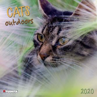 Cats Outdoors 2020