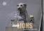 Löwen Lions