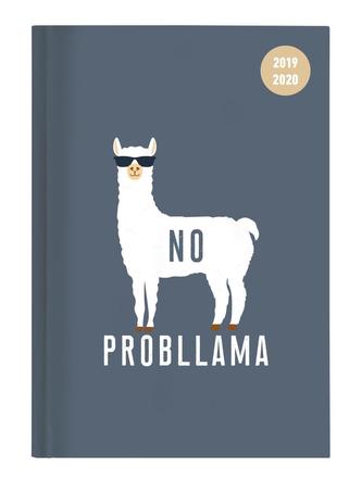 Collegetimer Llama 2019/2020 - Lama - Schülerkalender A5 (15 x 21)