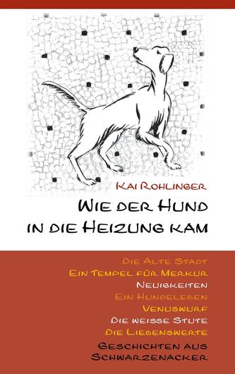 Wie der Hund in die Heizung kam