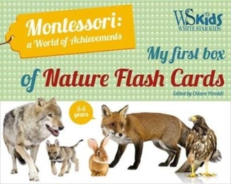 My First Flash Cards Box: Discovering Forest Animals - Montessori World of Achievements