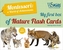 My First Flash Cards Box: Discovering Forest Animals - Montessori World of Achievements