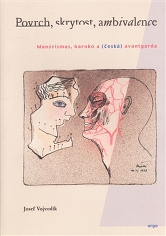 Povrch, skrytost, ambivalence