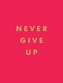 Never Give Up