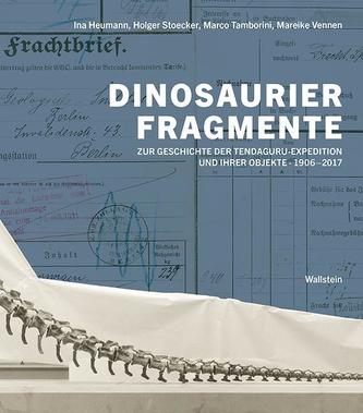 Dinosaurierfragmente