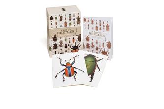 A Box of Beetles: 100 Beautiful Postcards