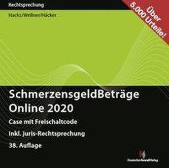 SchmerzensgeldBeträge 2020 Online