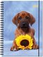 Terminplaner Hund 2021