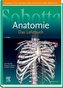 Sobotta Lehrbuch Anatomie