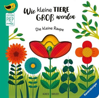 Wie kleine Tiere groß werden. Die kleine Raupe