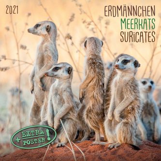 Erdmännchen - Merkats - Suricates 2021 Artwork