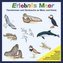 Erlebnis Meer