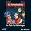 Feriendetektive: Im Tal der Wikinger (Audio-CD)