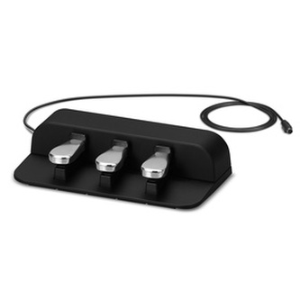 SP 34 PEDÁL. KONZOLE PRO CDP-S 350 CASIO