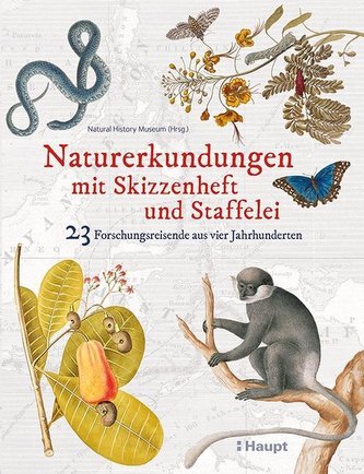 Naturerkundungen mit Skizzenheft und Staffelei