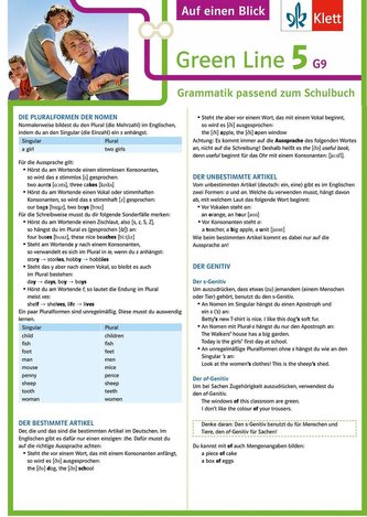 Green Line 5 G9 Klasse 9 Auf einen Blick. Grammatik passend zum Schulbuch