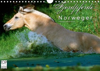 Fjordpferde - Norweger (Wandkalender 2021 DIN A4 quer)