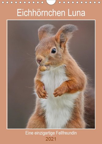 Eichhörnchen Luna (Wandkalender 2021 DIN A4 hoch)