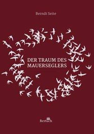 Der Traum des Mauerseglers