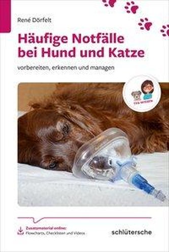 Häufige Notfälle bei Hund und Katze