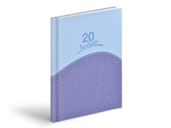 Diář 2021 T805 PU light blue / blue