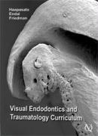 Visual Endodontics Curriculum