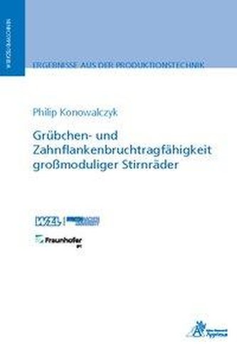 Grübchen- und Zahnflankenbruchtragfähigkeit großmoduliger Stirnräder