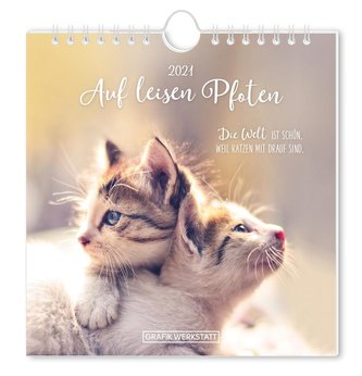 Auf leisen Pfoten 2021