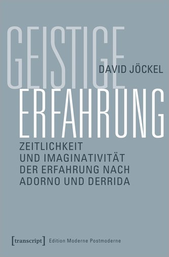 Geistige Erfahrung