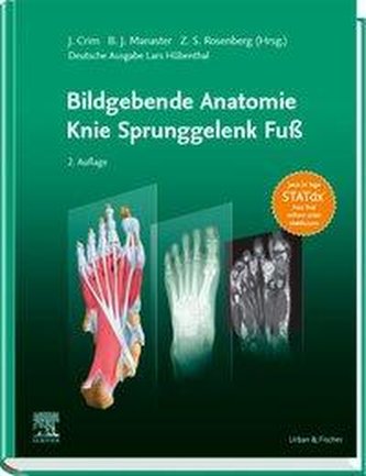 Bildgebende Anatomie: Knie Sprunggelenk Fuß