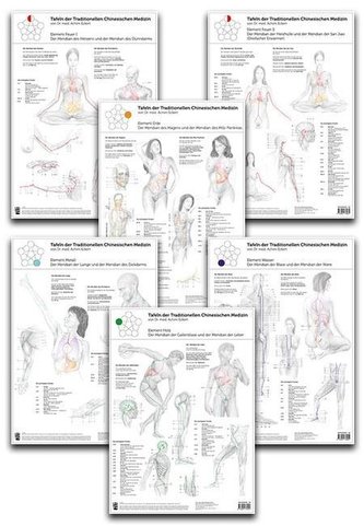 Set von sechs Tafeln der Traditionellen Chinesischen Medizin
