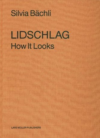 Lidschlag / How It Looks
