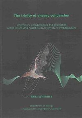 The trinity of energy conversion