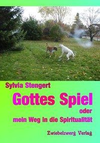 Gottes Spiel oder mein Weg in die Spiritualität