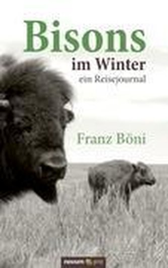 Bisons im Winter