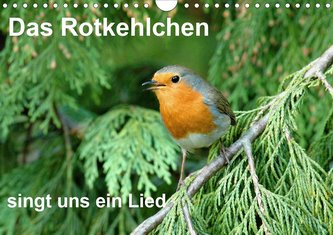 Das Rotkehlchen singt uns ein Lied (Wandkalender 2021 DIN A4 quer)