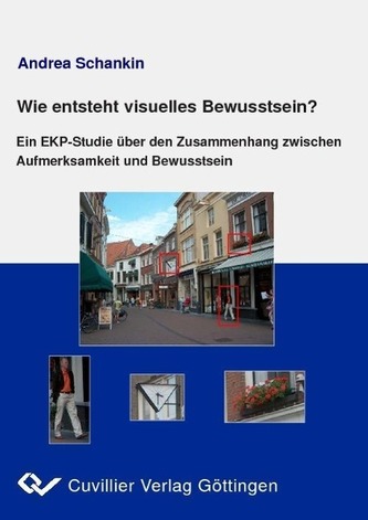 Wie entsteht visuelles Bewusstsein?