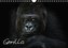 Gorilla (Wandkalender 2021 DIN A4 quer)