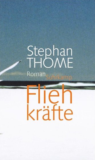 Fliehkräfte