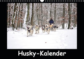 Husky-Kalender (Wandkalender 2021 DIN A3 quer)