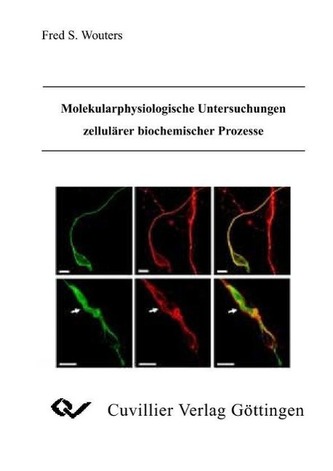 Molekularphysiologische Untersuchungen zellulärer biochemischer Prozesse