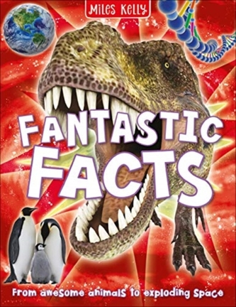 FANTASTIC FACTS - 384 PAGES