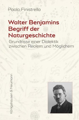 Walter Benjamins Begriff der Naturgeschichte