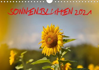 Sonnenblumen 2021 (Wandkalender 2021 DIN A4 quer)