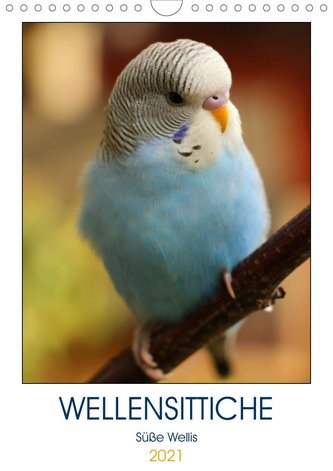 WELLENSITTICHE - Süße Wellis (Wandkalender 2021 DIN A4 hoch)