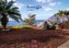 Teneriffa S 2021 35x24cm