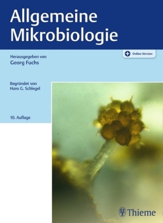 Allgemeine Mikrobiologie
