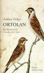 Ortolan